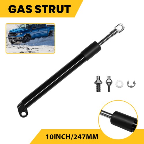 Tailgate assist shock - tailgate,