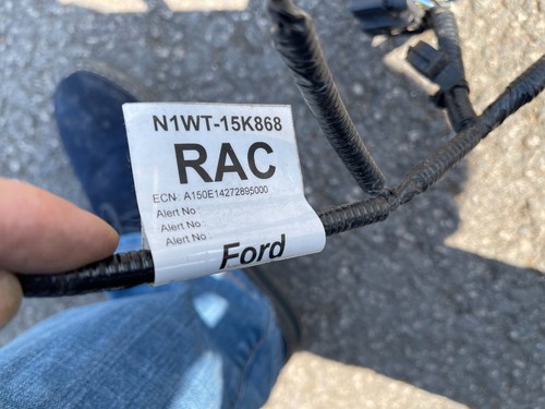 2022 ford ranger raptor rear - 2022,