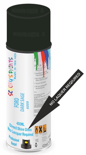 Aerosol paint spray - spray, direct